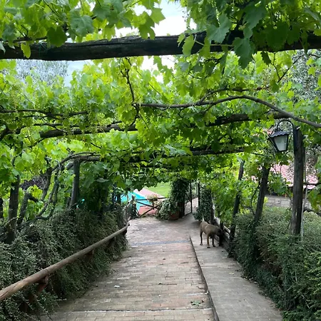 Alce Villa